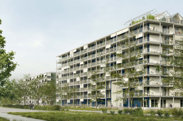 Cynara - Nomos Architects