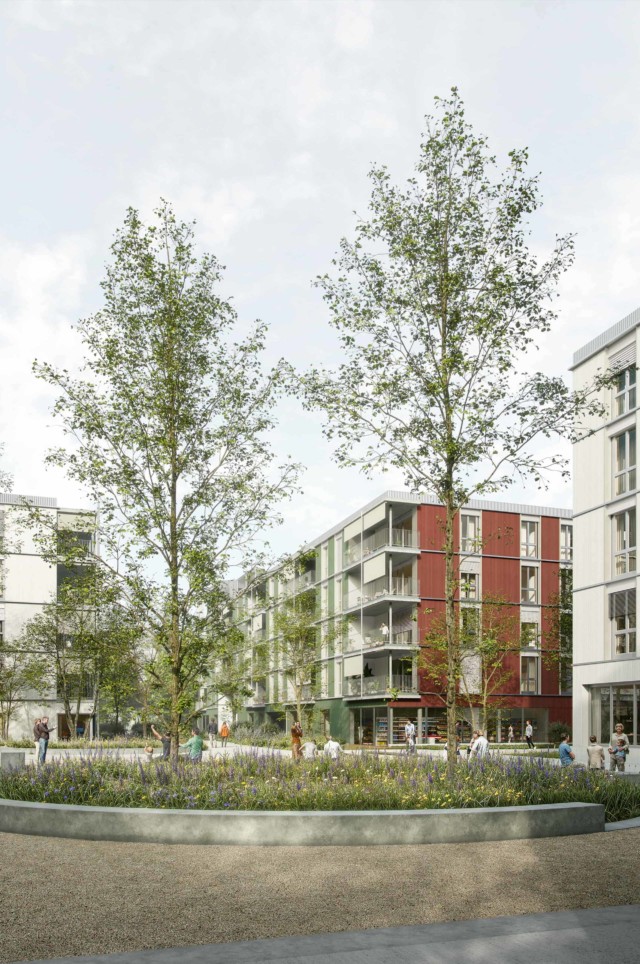 Cynara - Nomos Architects