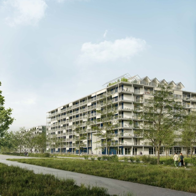 Cynara - Nomos Architects