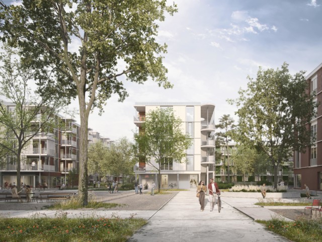 Cynara - Nomos Architects