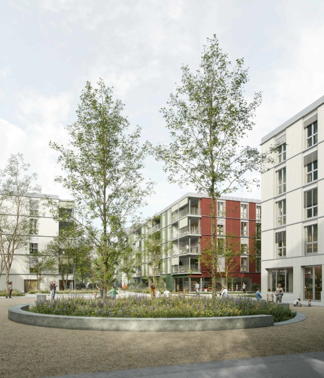 Cynara - Nomos Architects